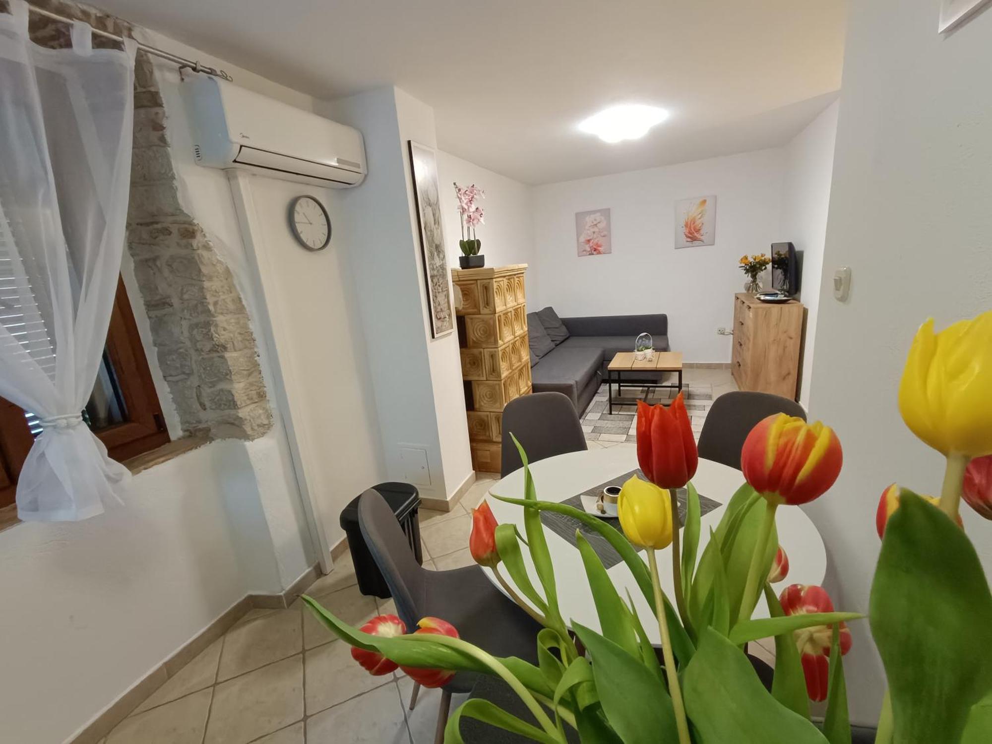 Adria Pearl Appartments Vrsar Luaran gambar